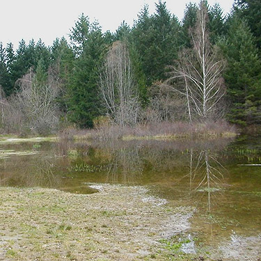 north, shallow part of lake, China Lake Park, Tacoma, Washington