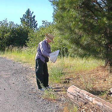 Laurel Ramseyer tapping pine cones in Easton, Washington