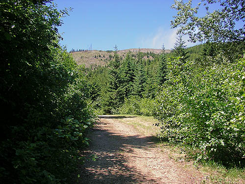 old road Laurel Ramseyer hiked along, near Cole Creek, south of Easton, Kittitas County, Washington