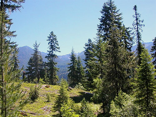 topographic bench reached via Red Mountain trail, Cooper River, Kittitas County, Washington