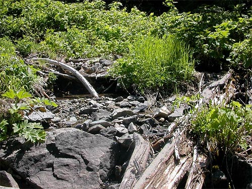 a brook triclles down rocky slope toward Stave Creek 1.1 miles above Cooper River, Kittitas County, Washington