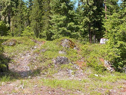 typical habitat at Red Mountain trailhead, Cooper River, Kittitas County, Washington