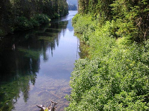 Cooper River upstream toward lake, Cooper River/Cooper Lake bridge area, Kittitas County, Washington