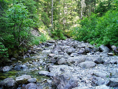 lowest reach of Stave Creek, Cooper River/Cooper Lake bridge area, Kittitas County, Washington