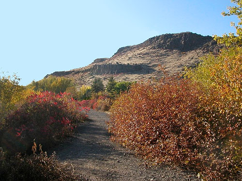 fall colors on Cowiche Canyon Trail, Yakima County, Washington