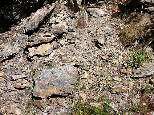 rock fragments below outcrop, Cooper Pass, Kittitas County, Washington