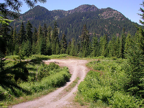 meadow area at Cooper Pass, Kittitas County, Washington