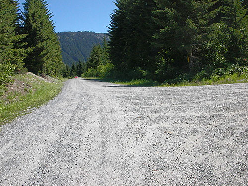 forest road 46 at Cooper Pass, Kittitas County, Washington