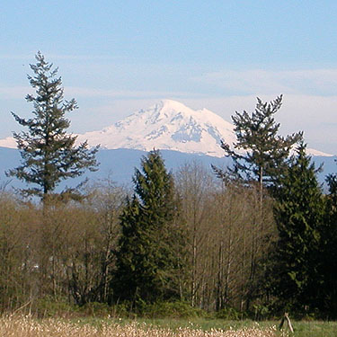 Mount Baker from West Field, central part of Curry Preserve, Lummi Island, Whatcom County, Washington