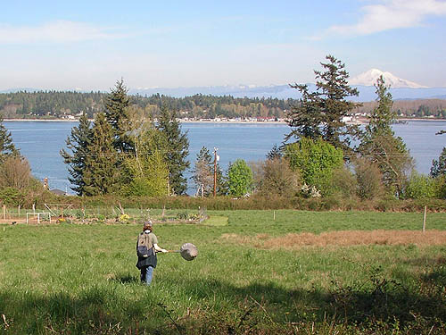 Jessi Bishopp sweeping SE field, central part of Curry Preserve, Lummi Island, Whatcom County, Washington