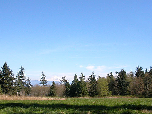 West Field, central part of Curry Preserve, Lummi Island, Whatcom County, Washington