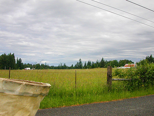 cloud cover on 3 June 2017, Chehalis-Western Trail 5 miles N of Olympia, Washington