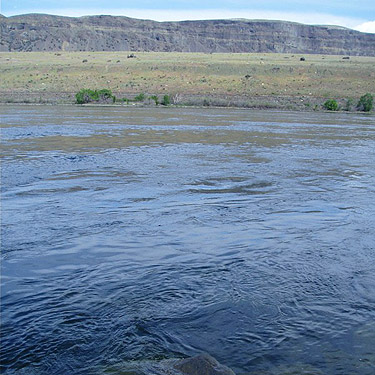 ripples caused by hydroplane in Columbia River, Dry Gulch, SE Chelan County, Washington