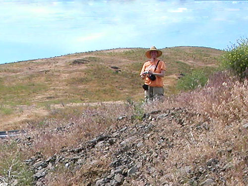 Laurel Ramseyer looking down Dry Gulch, SE Chelan County, Washington