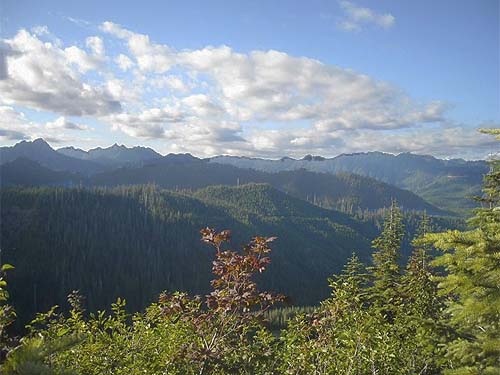 view from top of Dusk Point, Mason County, Washington