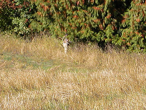 Laurel Ramseyer at edge of grassy field, East Fork Lewis River near La Center, Clark County, Washington