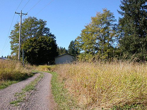 walk through former farmland, East Fork Lewis River near La Center, Clark County, Washington