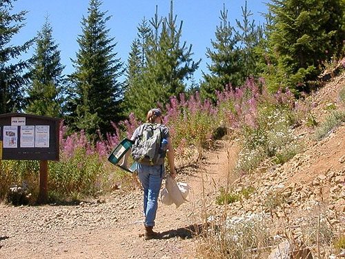 Jessi Bishopp starts to hike Mt. Ellinor, Mason County, Washington