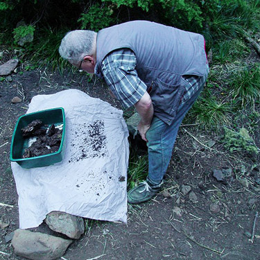 Rod Crawford sifting hemlock litter, Mt. Ellinor, Mason County, Washington