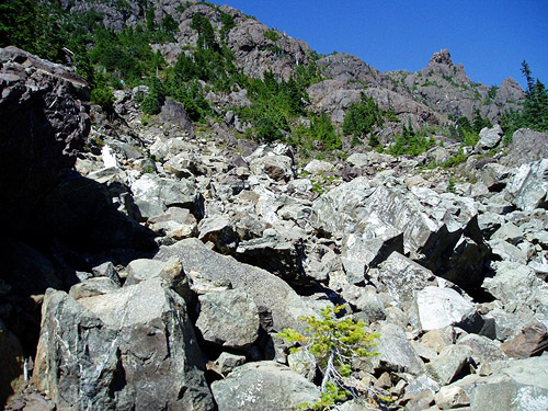 boulder talus near treeline, Mt. Ellinor, Mason County, Washington