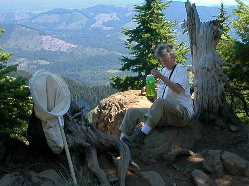 Laurel Ramseyer takes a water break at treeline, Mt. Ellinor, Mason County, Washington