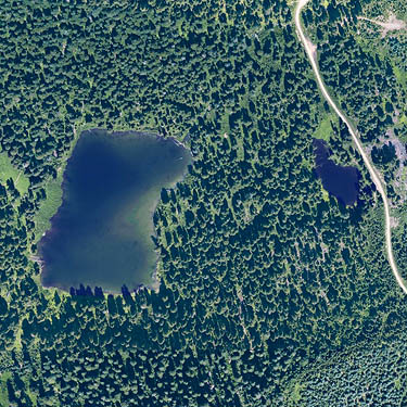 2013 aerial photo of Evans Lake, King County, Washington