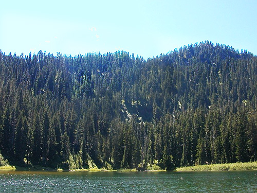 Evans Lake, King County, Washington