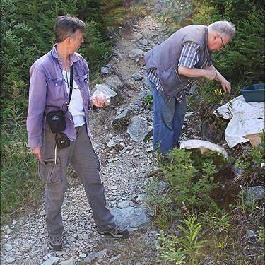 Rod Crawford sifting moss with Laurel Ramseyer, trailhead of Evans Lake, King County, Washington