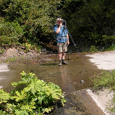 Ron Austin standing in creek on road to Evergreen Mountain, Shohomish County, Washington