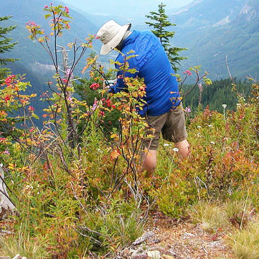 Ron Austin sets up for a photo on Evergreen Mountain, Shohomish County, Washington