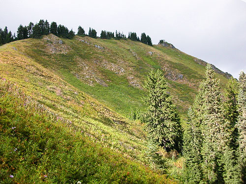 summit ridge of Evergreen Mountain, Shohomish County, Washington from treeline