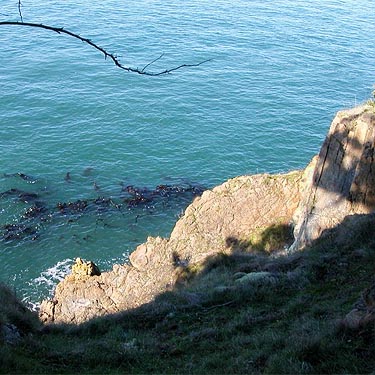 sea cliff on Fidalgo Head, west of Anacortes, Washington