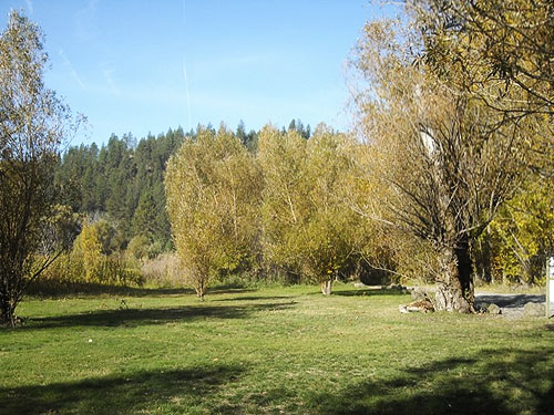 lawn with trees, Fish Lake Park, Spokane County, Washington