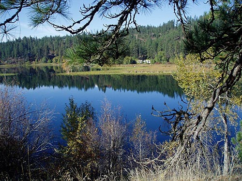 view from cone-sampling site, Fish Lake Park, Spokane County, Washington