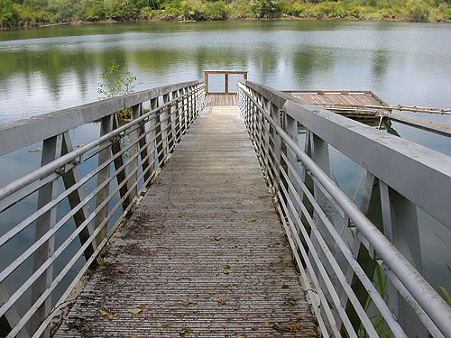 floating dock in Lake Quigg, Friends Landing Park, Grays Harbor County, Washington
