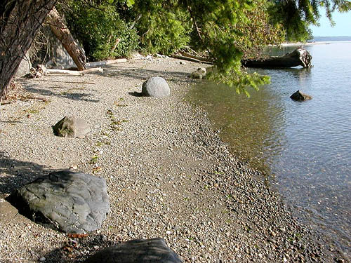Close Beach, Gazzam Lake Nature Preserve, Bainbridge Island, Washington