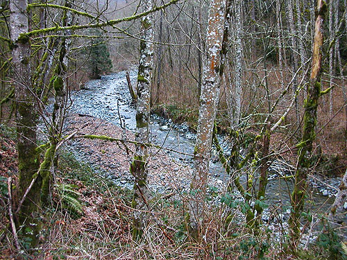 Gilligan Creek from South Skagit Highway, Skagit County, Washington
