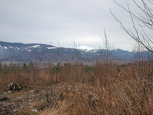 Looking north to Mt. Baker from clearcut near Salmon Creek, north slope Cultus Mountain, Skagit County, Washington