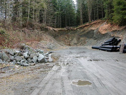 gravel pit off East Gilligan Creek Road, Skagit County, Washington
