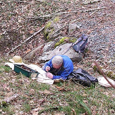Rod Crawford sifting leaf litter, Cultus Mountain Watershed, W of Gilligan Creek, Skagit County, Washington