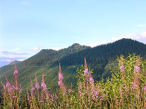 three peaks along the trail, Glacier View Trail, Pierce County, Washington