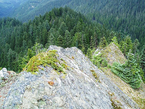 view from Glacier View summit, Glacier View Trail, Pierce County, Washington
