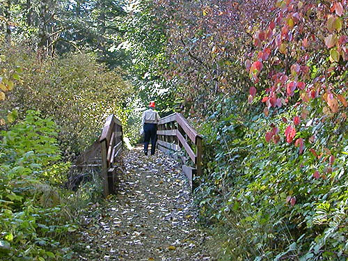 Laurel Ramseyer on trail bridge, Gold Creek/Davis Trail, Kitsap County, Washington