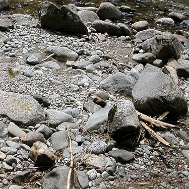 cobbles on gravel bar of White River, Grasshopper Meadows Campground, Chelan County, Washington