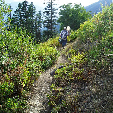 Rod Crawford starting down the trail, south slope of Green Mountain, Snohomish County, Washington