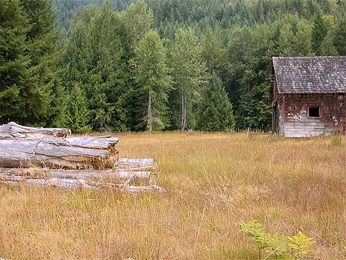  Green Mountain Pasture, Snohomish County, Washington