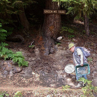 Rod Crawford starting up trail, south slope of Green Mountain, Snohomish County, Washington