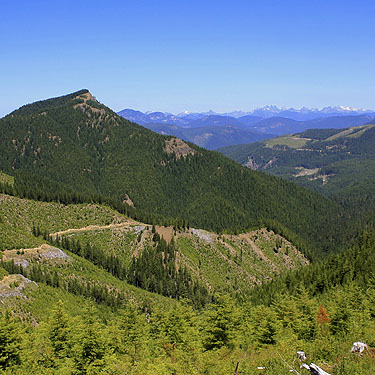 view from forest road to Kelly Butte Trailhead, King County, Washington