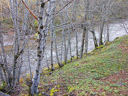 Greenwater River at bridge, 3.5 miles SE of Greenwater, King County, Washington