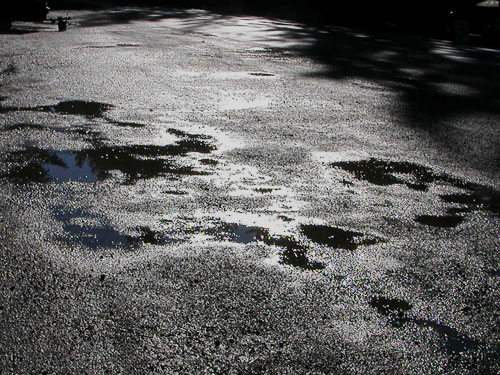 wet pavement in Greenwater, King County, Washington